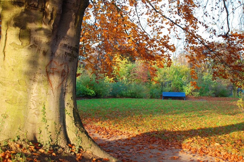 Sonbaharın 3 gizli tehlikesinden nasıl korunmalı?