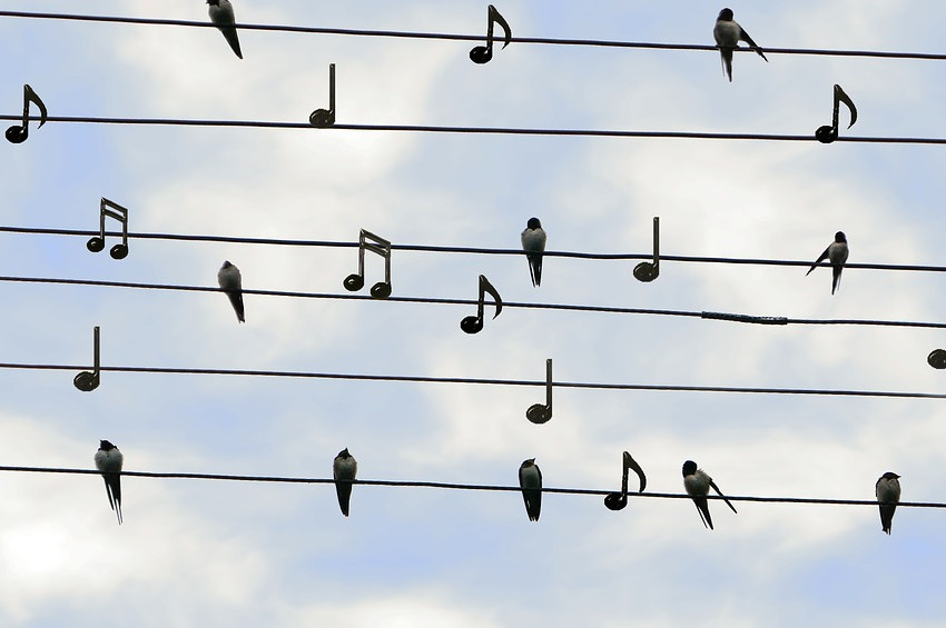 Müzik terapi rehabilitasyon alanında yükselen değer