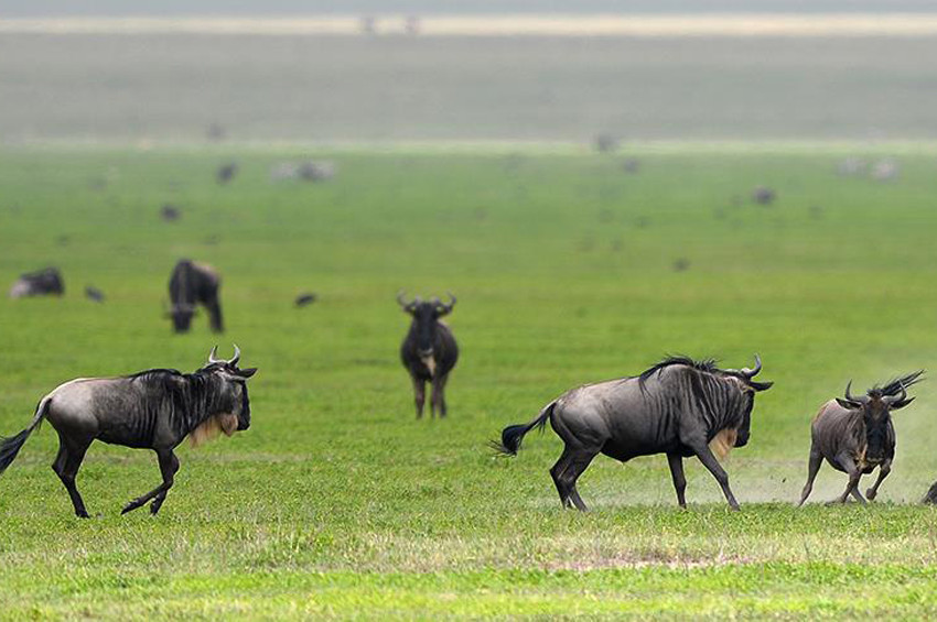 Ege bir zamanlar Afrika gibiymiş