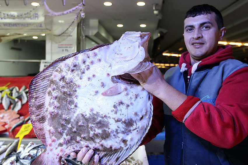 Kalkan balığının kilosu 125 lira oldu