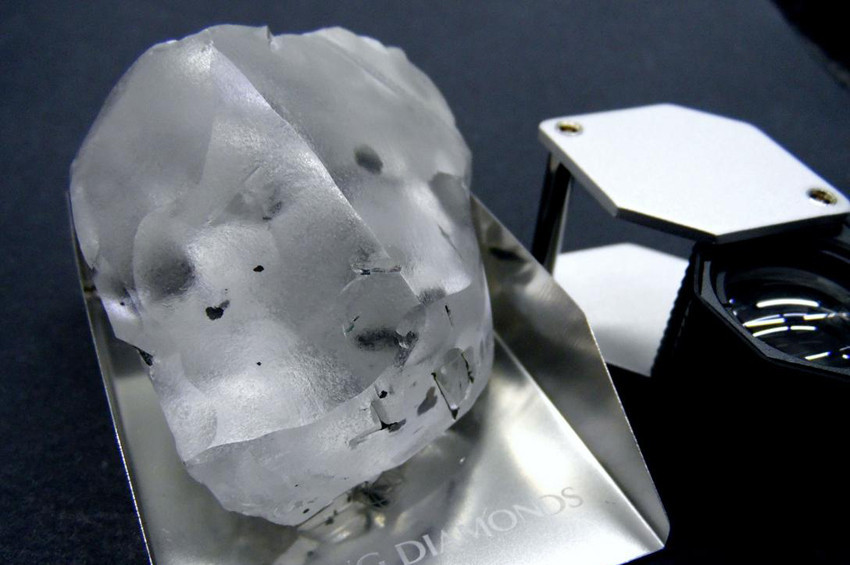 Dünyanın en büyük beşinci elması bulundu