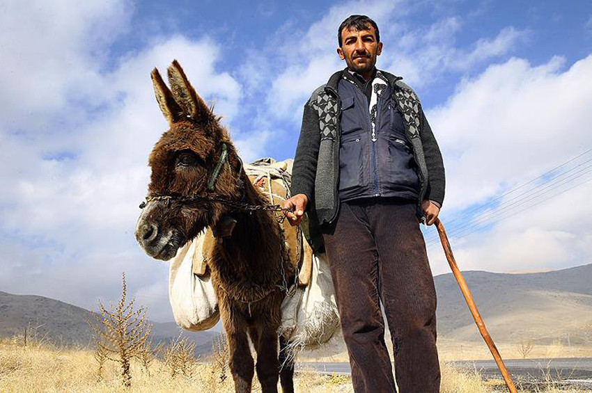30 yıldır arkadaşım eşek