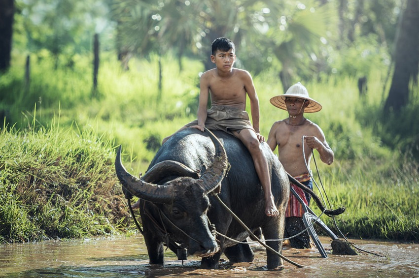 Çin’de doğum oranı düştü