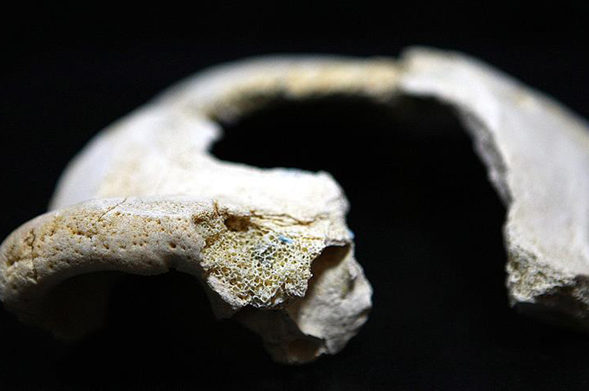 Afrikalı olmayan en eski insan fosili keşfedildi