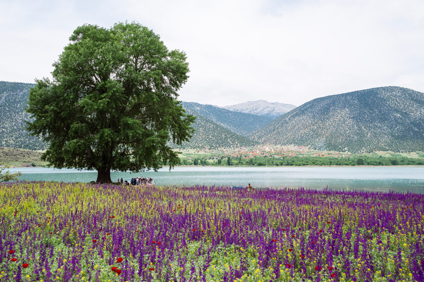 Soyu tükenen balıkların son sığınağı