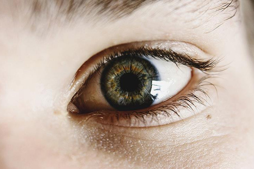 Kök hücreden göz retinası üretildi