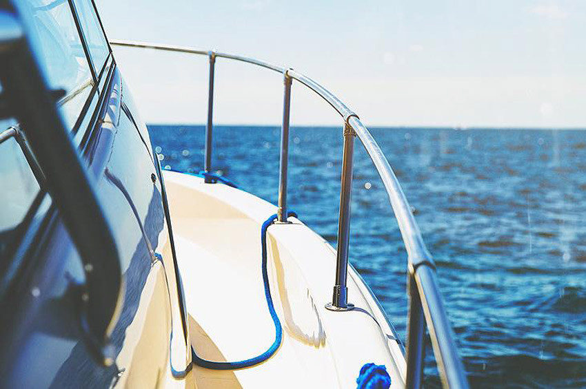 Köpek balığı tekneye atladı!