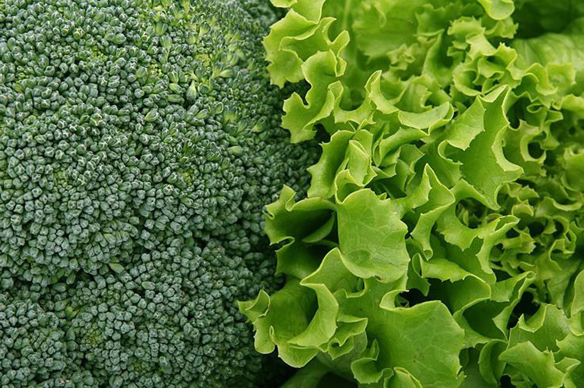 Sarı nokta hastalığının şifası yeşil yapraklı sebzeler