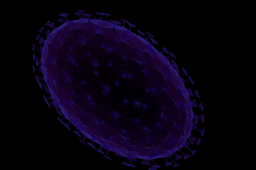 Yeni insan hücresi tipi keşfedildi