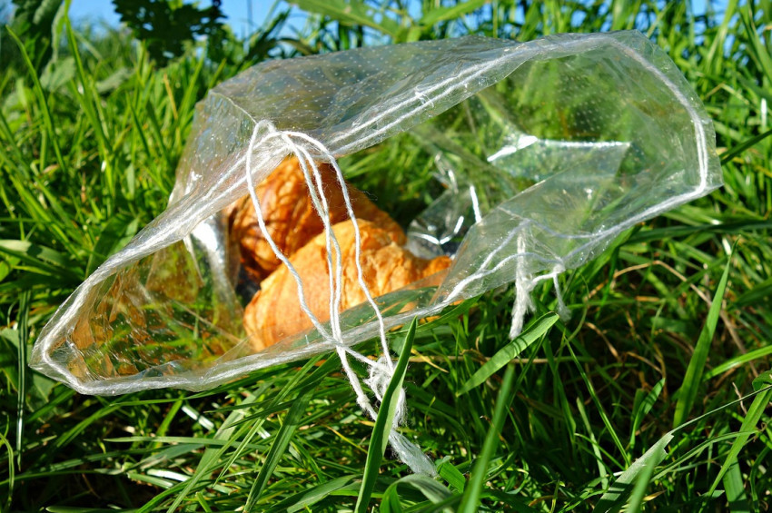 Dünyada yılda 1,3 milyar ton gıda atığı oluşuyor