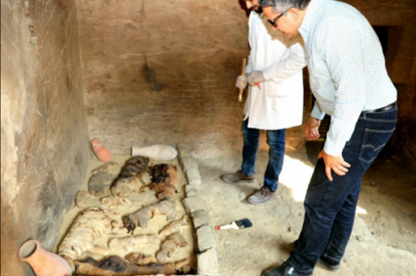 Mısırda kedi mezarlığı ve hayvan mumyaları bulundu