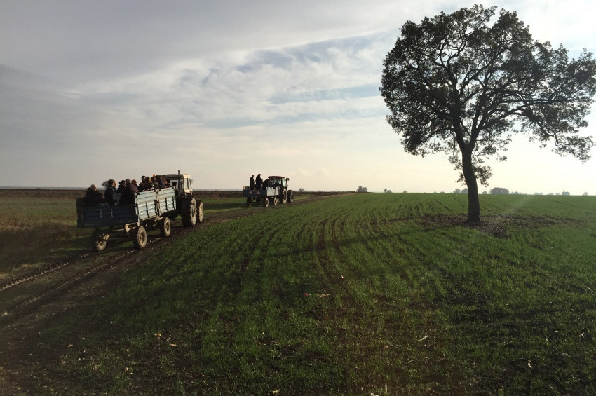 TEMA, 8 bin yıllık tarım alanını Kömür Etme diyor