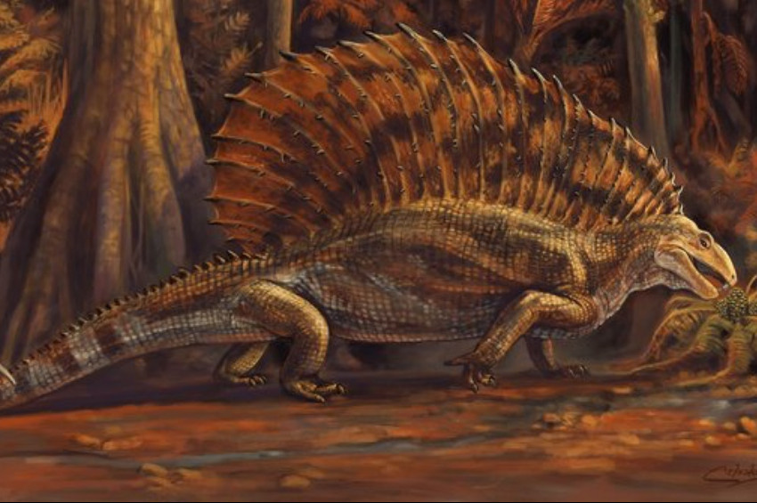 Bilinen en eski otobur sürüngen fosili bulundu