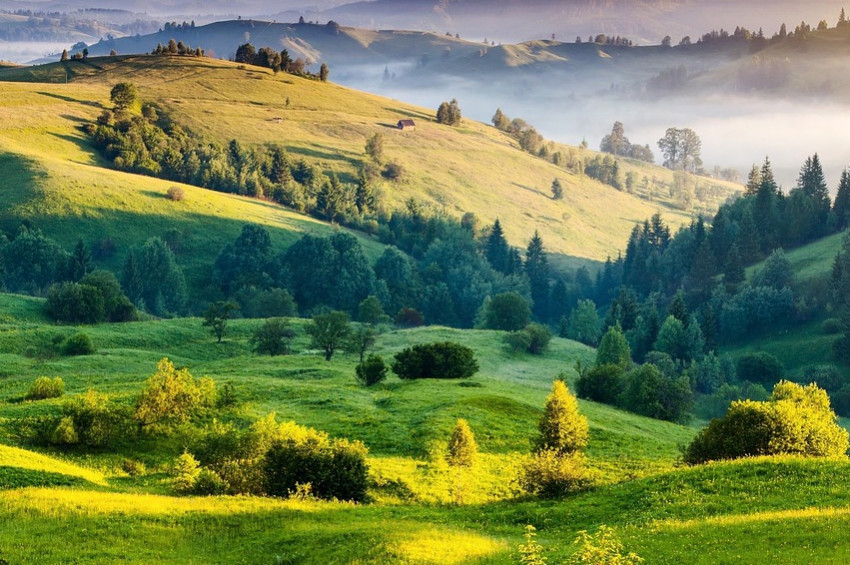 Hindistanda Babür topraklarında tapınak tartışması