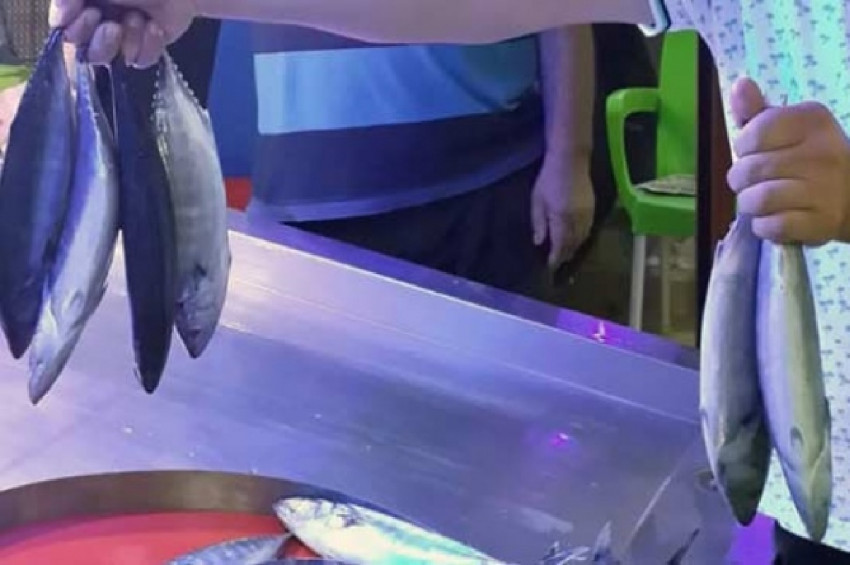 Balıkçıların yüzü gülüyor