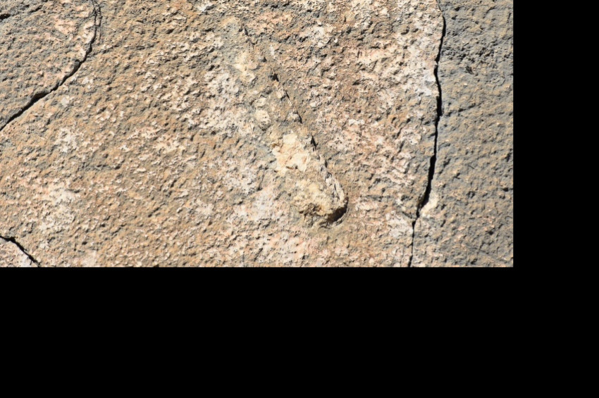 Herkülün ünlü sopasını gösteren kabartma bulundu.