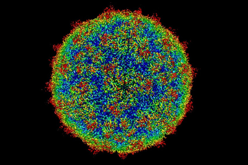 Rinovirüsler çocuklar üzerinde bu yıl çok etkili