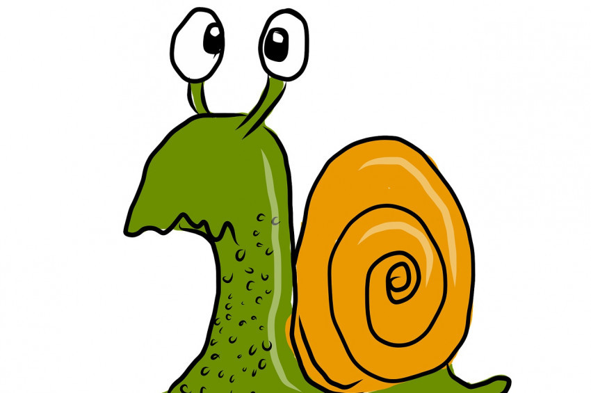 Almanya İslam Konferansında domuz eti skandalı