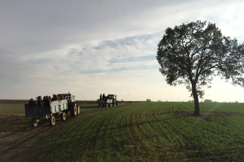 2018in en etkileyici çevre olayları