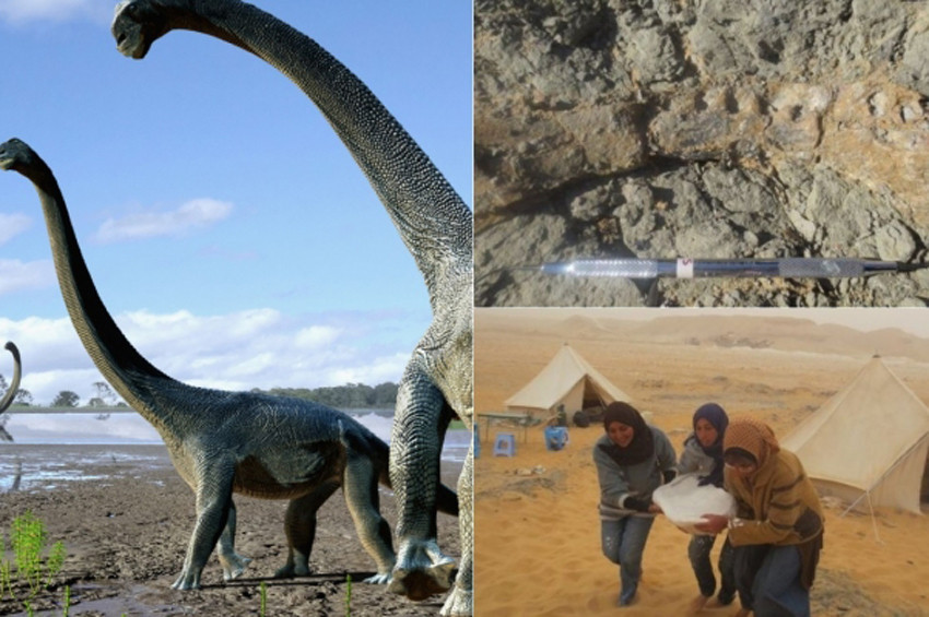 Mısırda dinozor bulundu