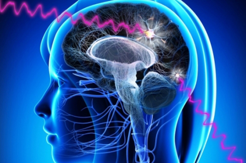 Beden ve zihin ilişkisi laboratuvarda aranıyor