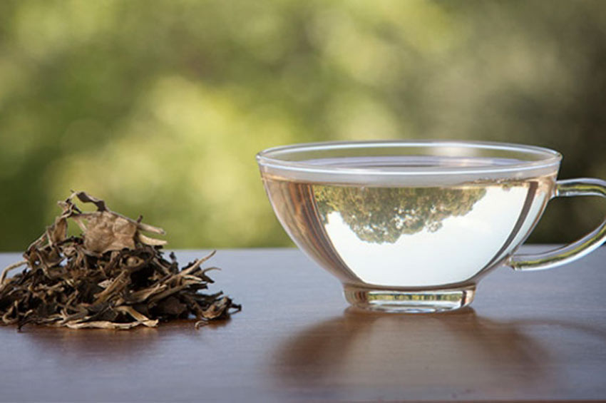 Beyaz çayın sağlığa faydaları araştırılıyor