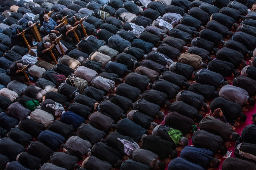 Britanyada Camimi Ziyaret Et Günü