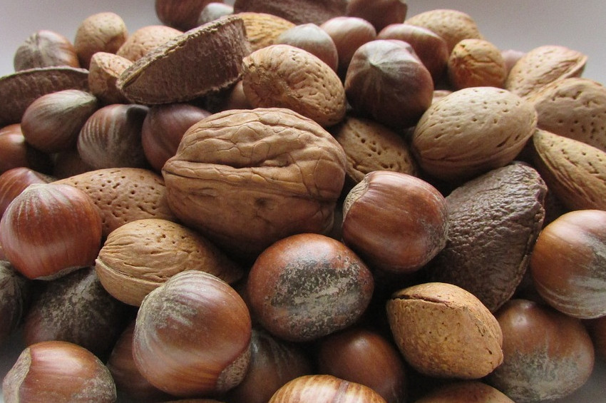 Kuruyemiş soğuk algınlığına şifa