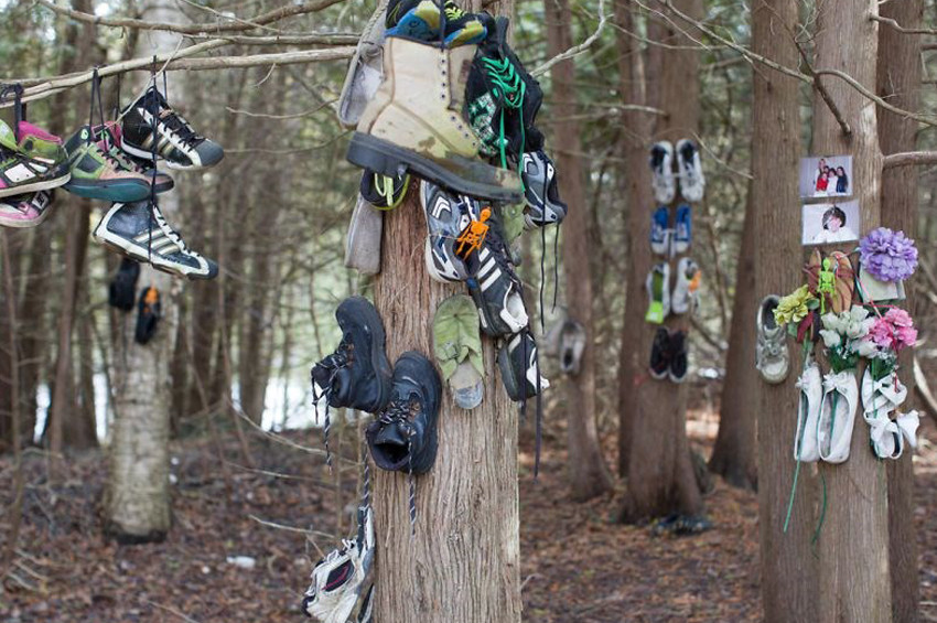 Gizemli ayakkabı ormanı keşfedildi