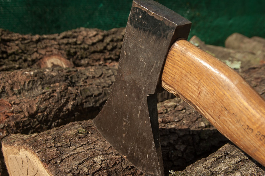 Amazonlar ormanları yok olmaya devam ediyor