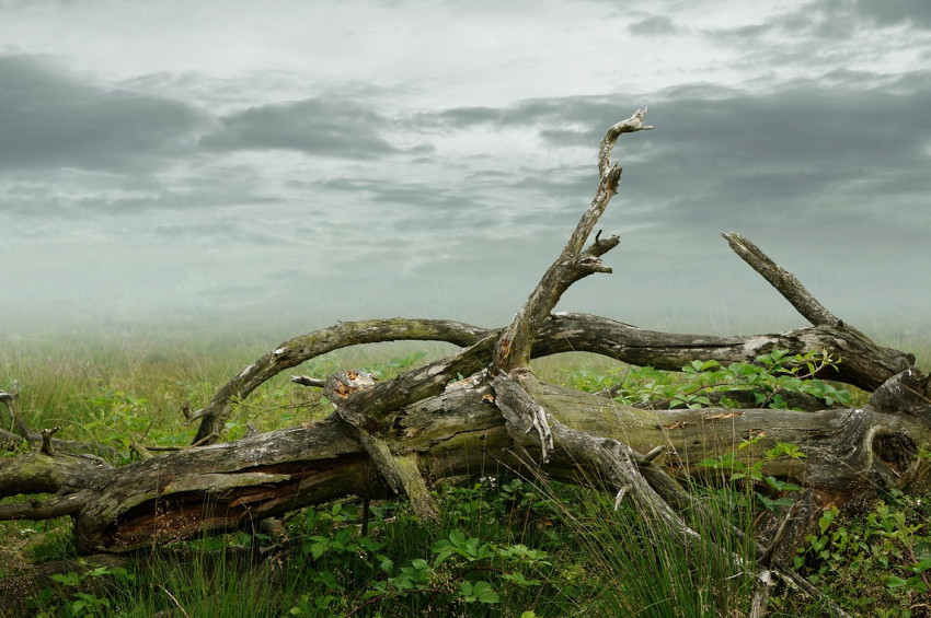 İstanbulda 2030da su kıtlığı yaşanabilir