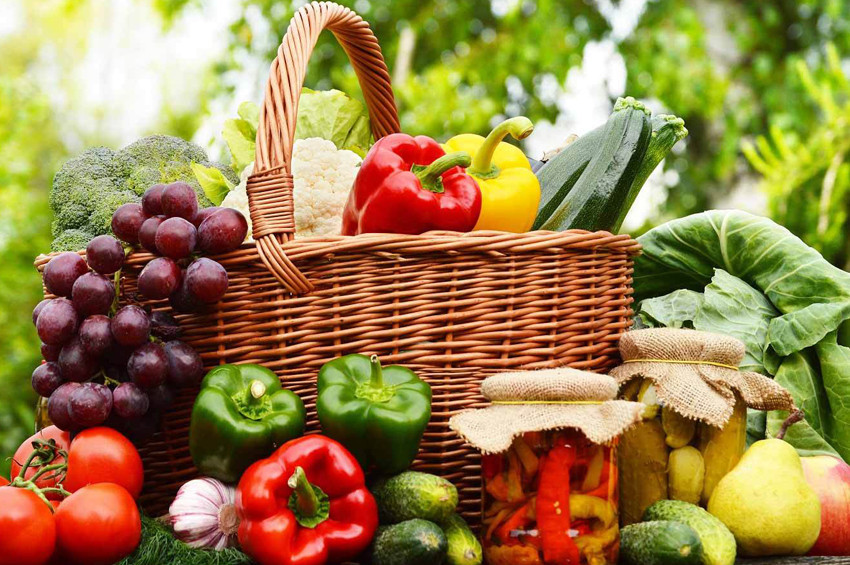 Organik tarım dünyayı beslemeye yeter