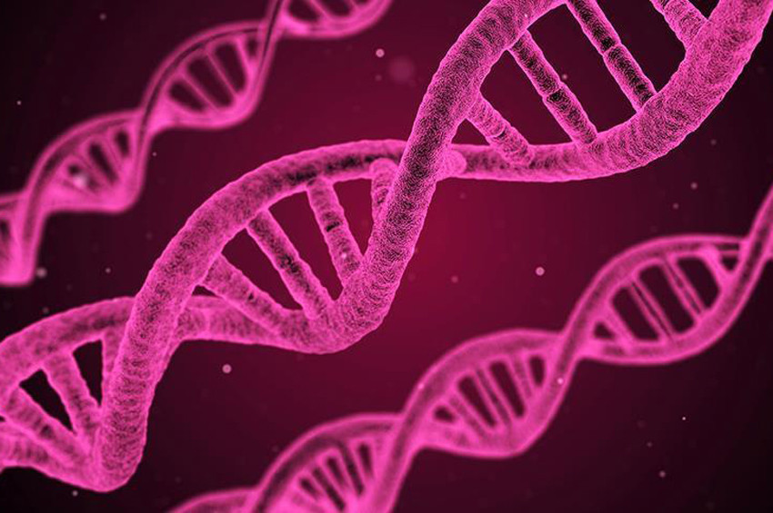 DNA nanorobotları kanser tedavisinde umut oldu