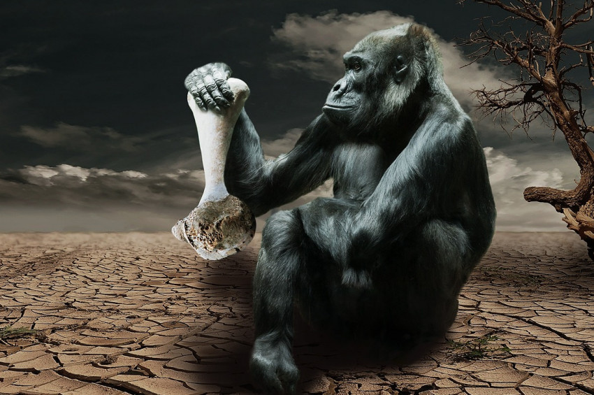 Su sıkıntısı küresel dengeleri sarsabilir