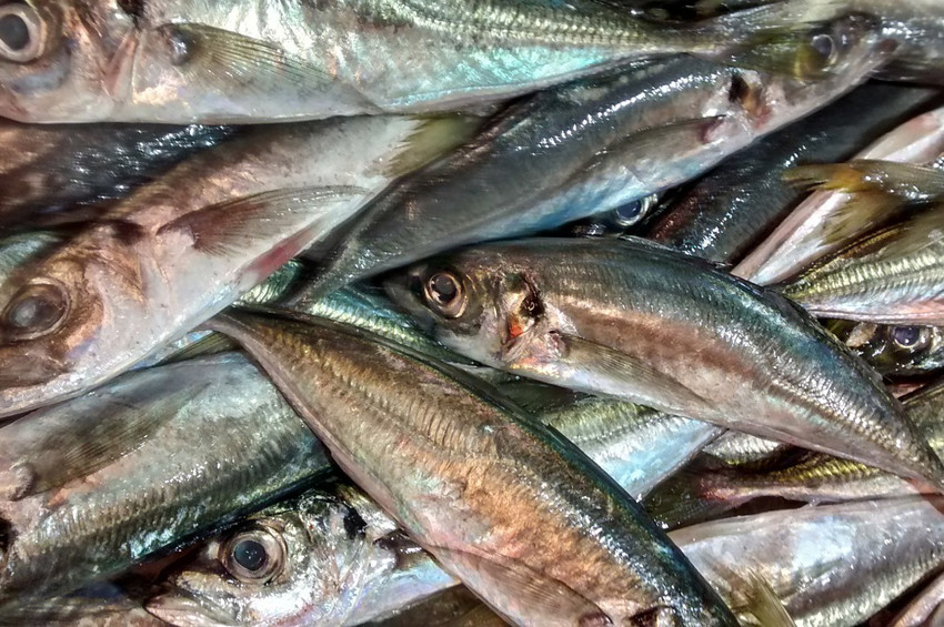 Hem kilo verdiren hem kanserle savaşan besinler