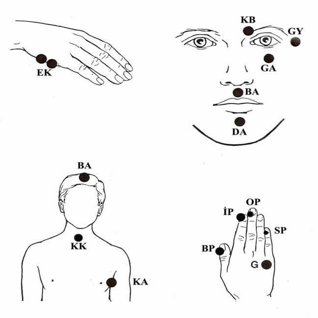 Birlikte Şifalanıyoruz
