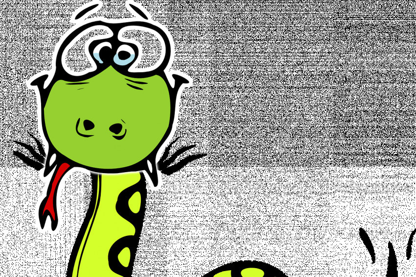 Terlik yutan piton, ameliyatla kurtarıldı