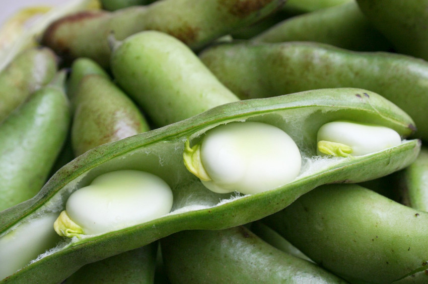 Şubat ayında en çok taze fasulye zamlandı