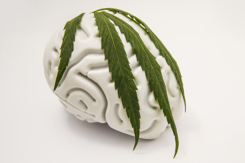 Sigaranın yerini esrar almaya başladı uyarısı