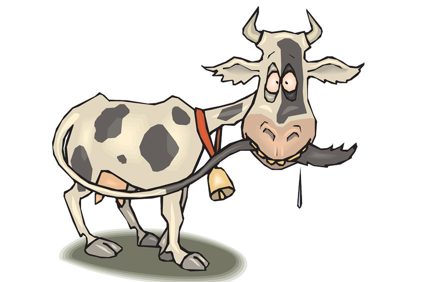 Hindistanda inek kestiği iddia edilen Müslüman linç edildi