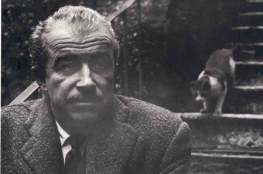 Orhan Kemal Roman Ödülü Seray Şahinerin