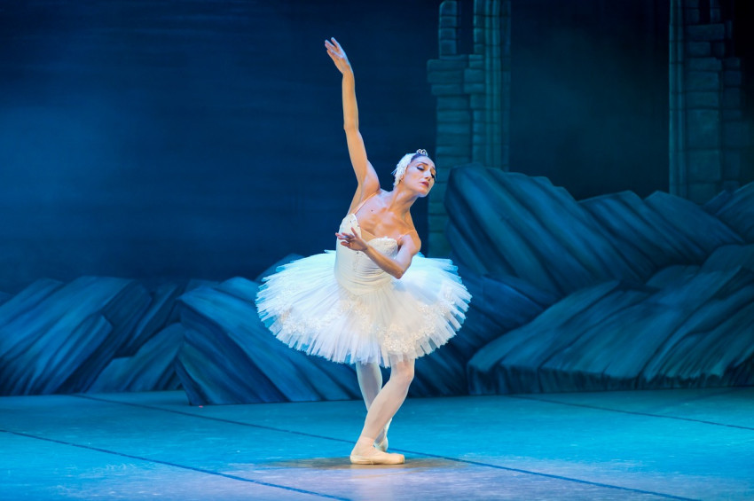 Opera ve balenin seyirci sayıları belli oldu