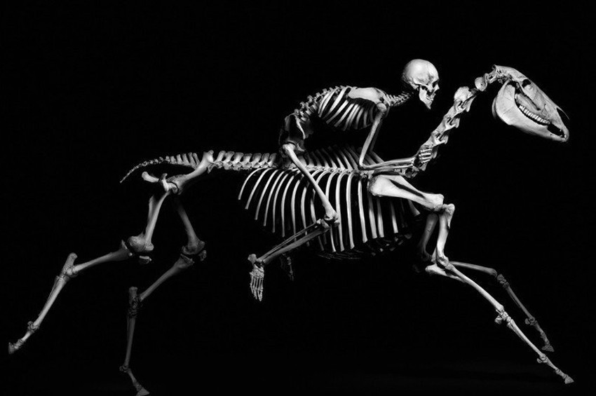 Antropolog Alice Robertsa göre ideal kadın