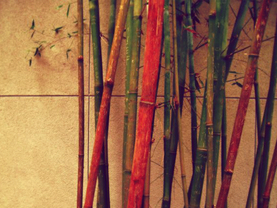 İnatla ben böyleyim demek ne kadar doğru?