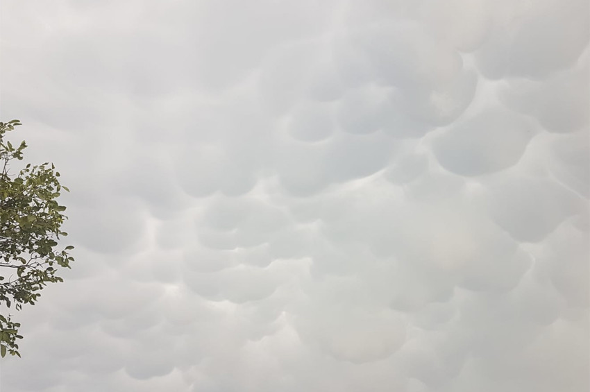 Kırklarelide Mammatus Bulutları