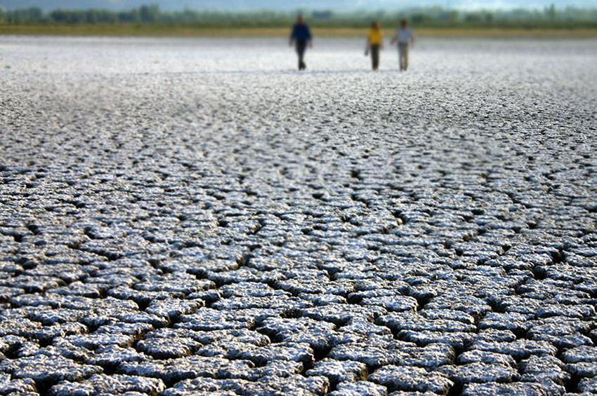 Yılda 12 milyon hektar toprak kayboluyor