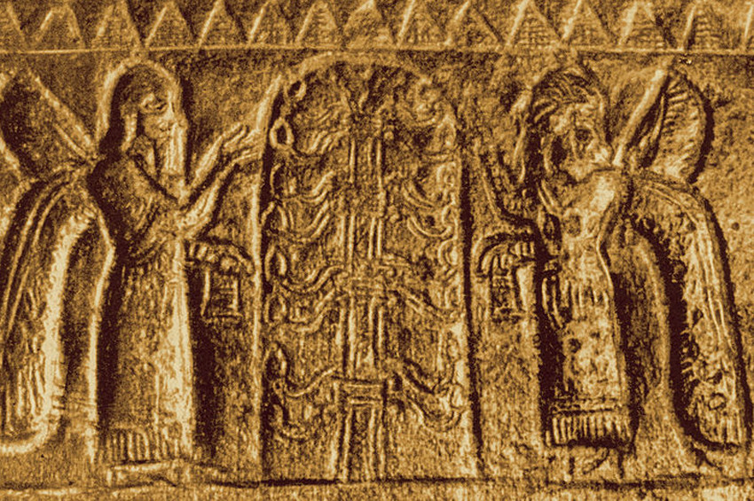 Hayat Ağacının Serüveni ve Merhamet Yağı