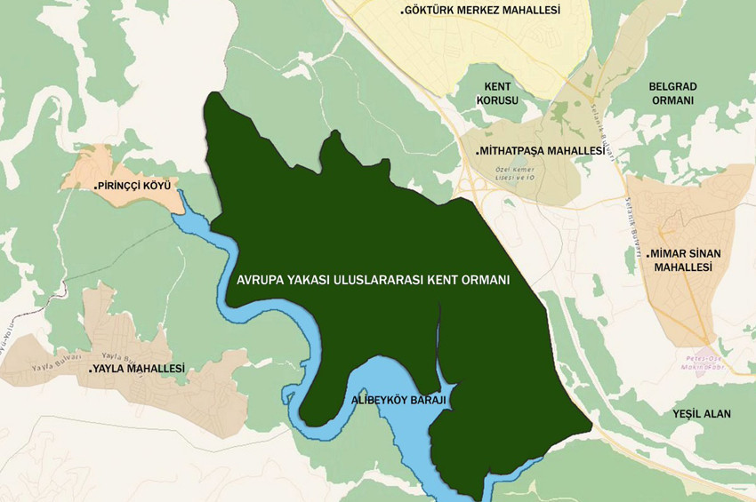 Albeyköy Uluslararası Kent Ormanı projesi