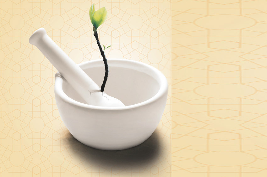 Merkezefendide havadan mesir macunu saçılacak.