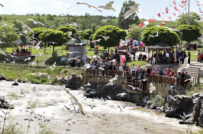 İnci Kefali Göçü Kültür ve Sanat Festivali sürüyor
